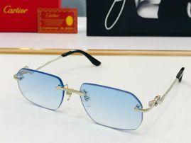 Picture of Cartier Sunglasses _SKUfw55118343fw